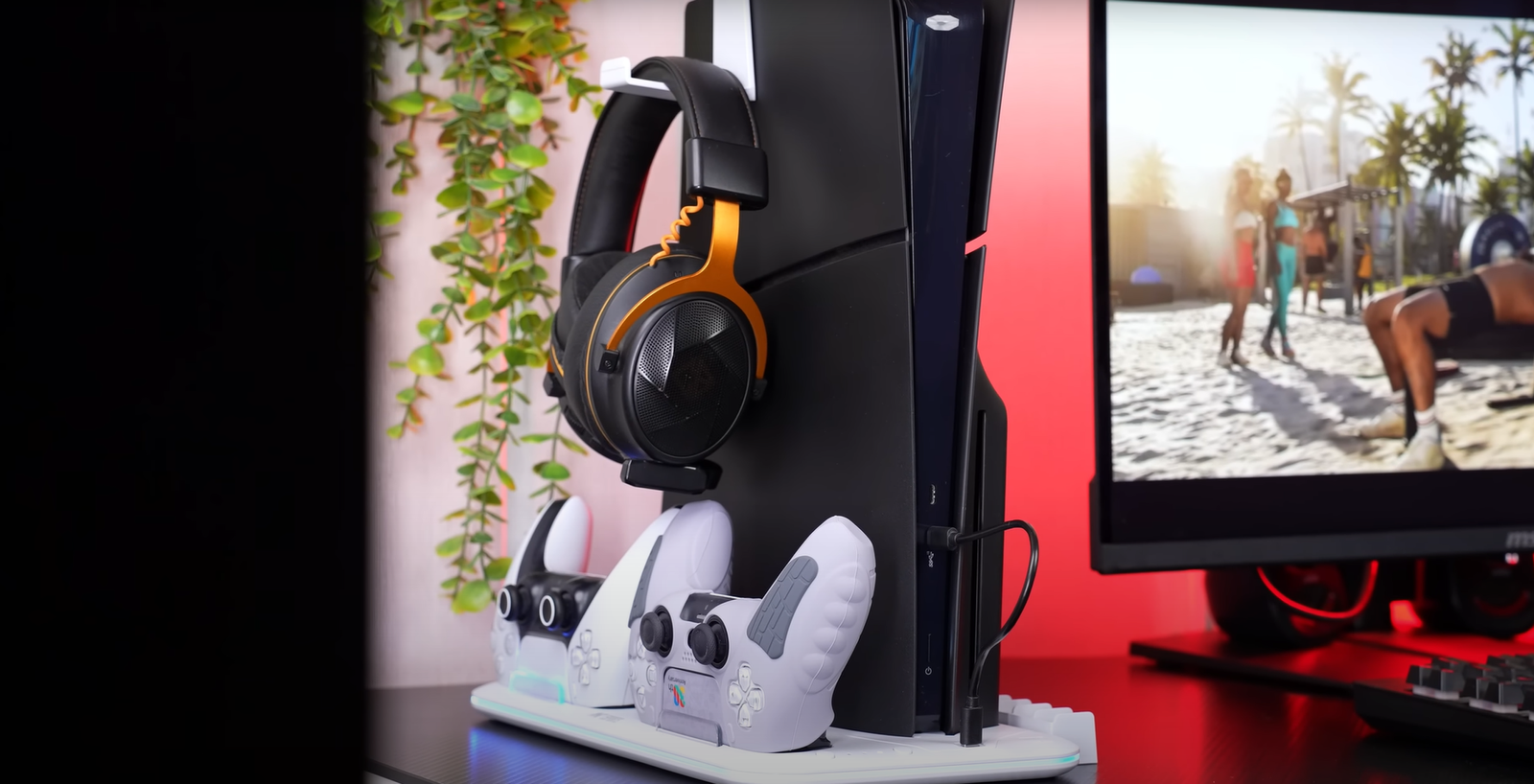 PlayStation Accessories