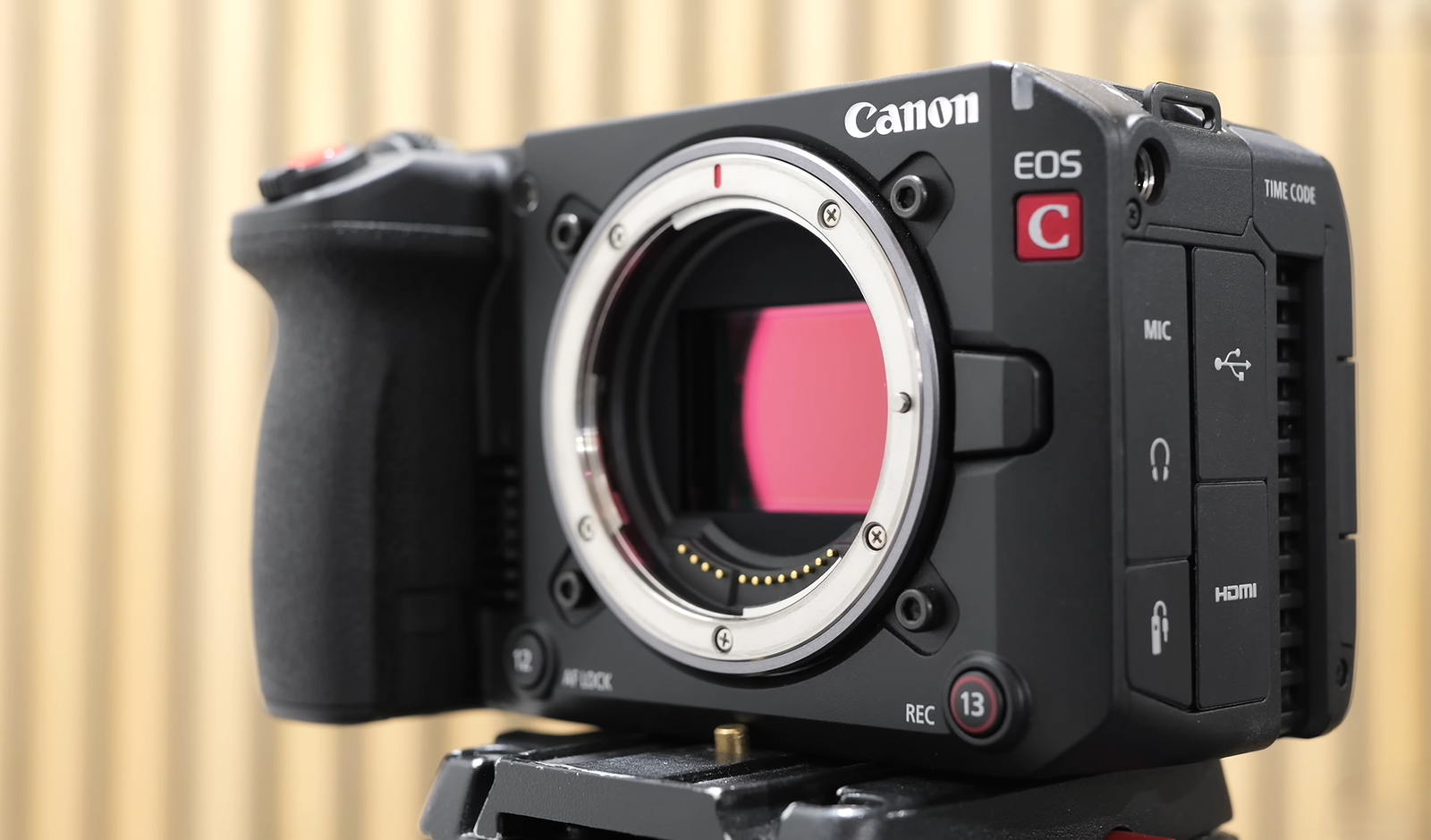 Canon EOS R6 Mark III